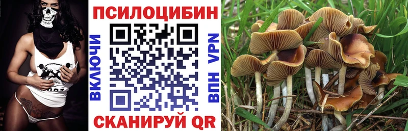 Купить  Коломна  Псилоцибиновые грибы MAGIC MUSHROOMS 